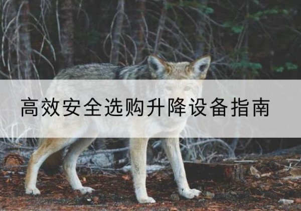古县升降货梯厂家推荐-*安全选购升降设备指南