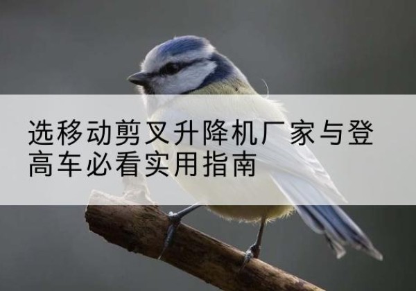 古县电动升降机厂家-选移动剪叉升降机厂家与登高车必看实用指南